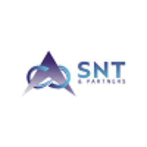 Profile picture of SNT Partners